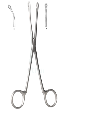 BLAKE Gall Stone Forceps
