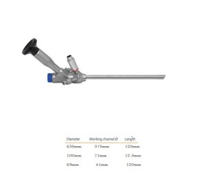 Endoscopy with working chanel